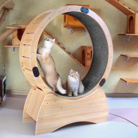 Cat Exercise Wheel ‚Äì Running, Spinning, and Scratching Fun, Cat Treadmill with