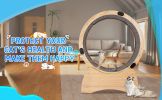 Cat Exercise Wheel ‚Äì Running, Spinning, and Scratching Fun, Cat Treadmill with