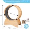 Cat Exercise Wheel ‚Äì Running, Spinning, and Scratching Fun, Cat Treadmill with