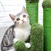 Pet Supplies Cute Cactus Tree Pet Cat Toy  With Ball Scratching Post