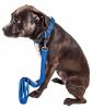 Pet Life 'Aero Mesh' 2-In-1 Dual Sided Comfortable And Breathable Adjustable Mesh Dog Leash-Collar