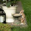 Garden Lawn Outdoor Bird Supplies Feeder & House