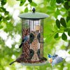 Outdoor Metal Seed Guard Deterrent Squirrel-Proof Caged Tube Wild Bird Feeder